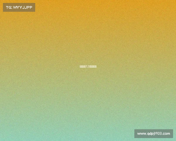 多特蒙德12月赛事时间