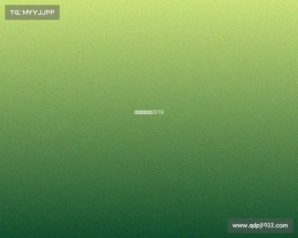 女排赛程表一览2019