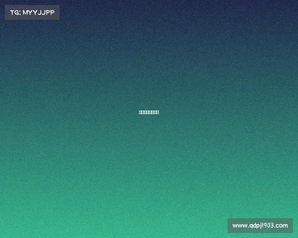 世界杯的赛事安排